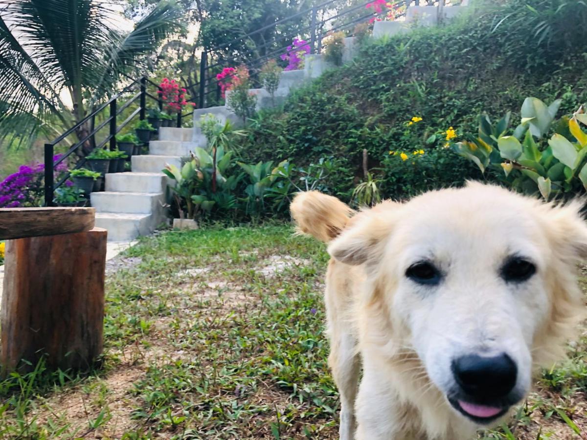 Baanhatsompaen Homestay Ранонг Экстерьер фото